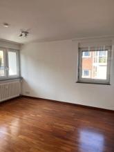 扁平 汉堡  德国 | Image