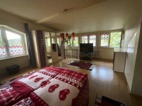 独立式住宅 沃尔齐格  德国 | Image