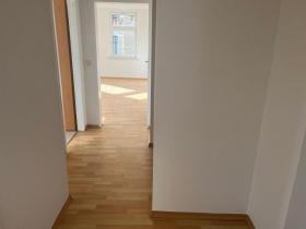 Raíces comerciales other Meerane En venta Alemania | Image