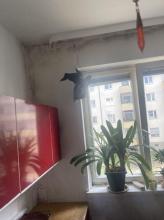 مسطحة برلين للبيع ألمانيا | Image