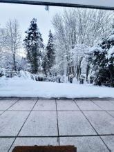 Terras Hamburg te koop Germany | Image