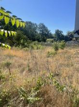 Bouwgrond Berlijn te koop Germany | Image