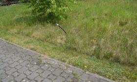 Bouwgrond Chemnitz te koop Germany | Image Bouwgrond Chemnitz te koop Germany | Image