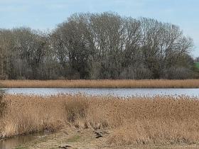 Commercieel vastgoed andere te koop in Schenkenberg, Germany
