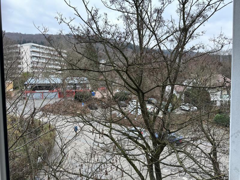 Lapos Heidelberg Eladó Németország | Image