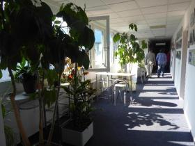 spazio ufficio Berlino In affitto Germania | Image