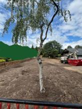 terreno de construcción Neuenhagen bei Berlin En venta Alemania | Image terreno de construcción Neuenhagen bei Berlin En venta Alemania | Image