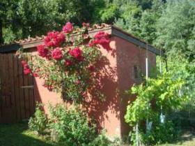 Σπίτι Σενιγαλλία Προς πώληση Ιταλία