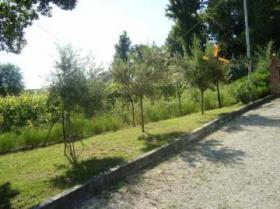 Σπίτι Σενιγαλλία Προς πώληση Ιταλία