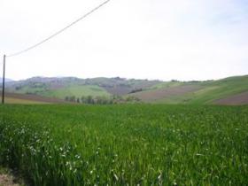 Maison Sénigallie Achat Italie