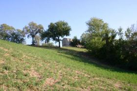 Οικόπεδα Σενιγαλλία Προς πώληση Ιταλία