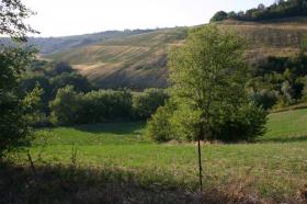 Οικόπεδα Σενιγαλλία Προς πώληση Ιταλία