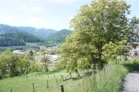 building ground  Foreclosures in Bruck an der Mur-Paulahofsiedlung, Austria
