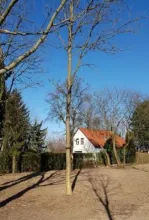 building ground  for sale in Markkleeberg-Connewitz, Germany