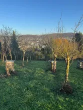 Ακίνητα γης / δασοκομία προς πώληση στο Lörrach-Lörrach, Γερμανία