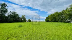 建筑用地 韦塞尔布纳库格  德国