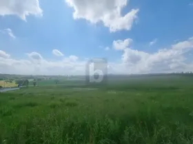 terreno de construcción en venta en Reichartshausen-Rhein-Neckar-Kreis, Alemania