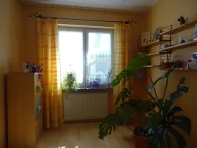 Дом на одну семью Нойенбург-на-Рейне Продажа Германия