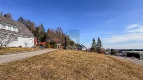 Propriedade da terra / florestal Eisenbach (Hochschwarzwald) Venda Alemanha