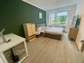 Floor Apartment Hamburg for rent Germany