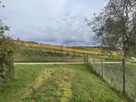 建筑用地 米尔海姆  德国