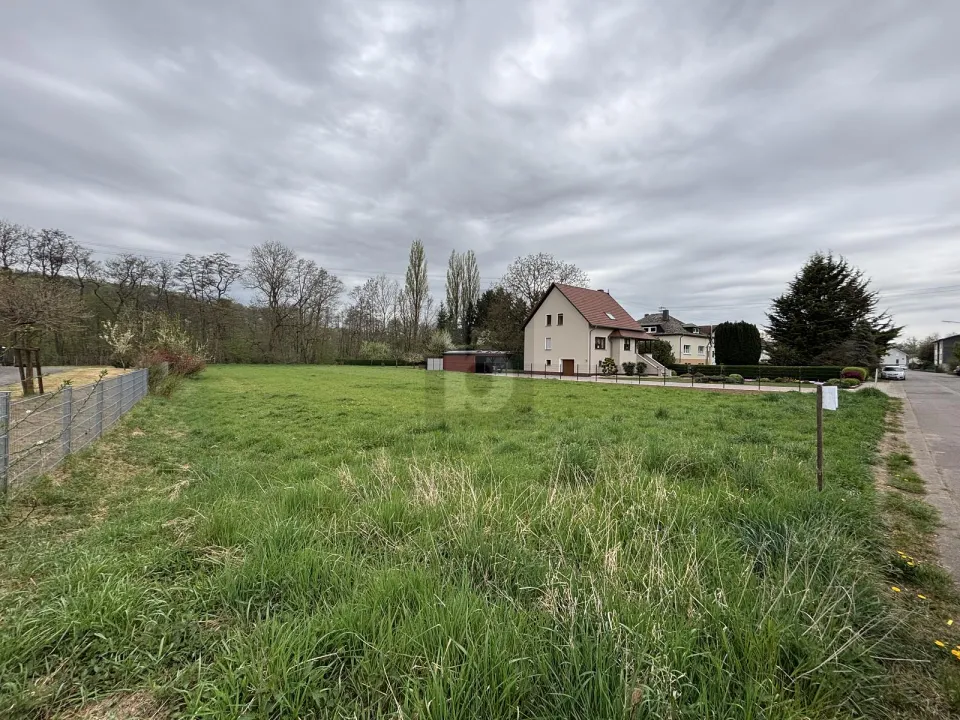 terreno edificabile Schmelz Vendita Germania
