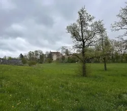 inşaat alanı satılık 'de Gutenzell-Hürbel, Almanya