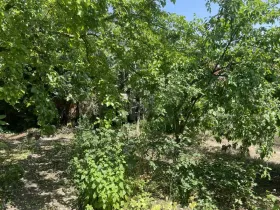 building ground  for sale in Stutensee-Friedrichstal, Germany