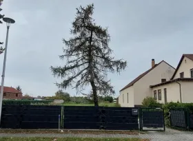 Parcelles Schönefeld Achat Allemagne