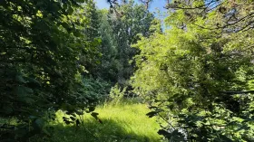 building ground  for sale in Hamburg-Tonndorf, Germany