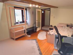 独立式住宅 施洛辛根 德国