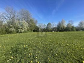 Sport-/Leisure facilities Berg for sale Germany