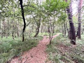 Sport-/Leisure anlegg Pinneberg  Tyskland