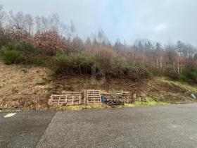 terrain à bâtir Wolfach Achat Allemagne