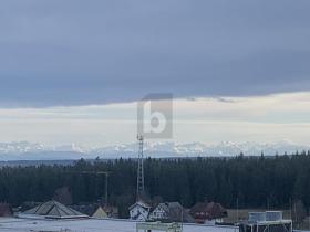 Propiedad de la tierra / forestal Eisenbach (Hochschwarzwald) Venta Alemania