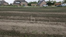 Baugrundstück zu verkaufen in Fehmarn, Deutschland Baugrundstück zu verkaufen in Fehmarn, Deutschland