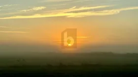 Föld eladó a  oldalon. Ostseebad Prerow-Nordvorpommern, Németország