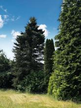 building ground Augsburg for sale Germany