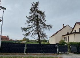 Οικόπεδα Schönefeld Προς πώληση Γερμανία