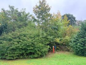 building ground  Mülheim for sale Germany