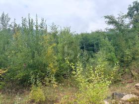 building ground  Mülheim for sale Germany