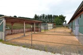 casa unifamiliare Meckenbach Vendita Germania