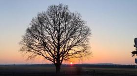 Hotel Dahlem Te Koop Germany