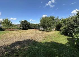 terrain à bâtir Friesenheim Achat Allemagne