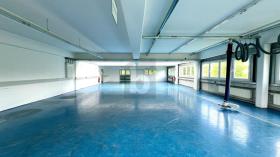 Sala de producción Villingen-Schwenningen Venta Alemania