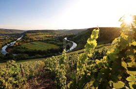 terreno de construcción en venta en Wiltingen, Alemania terreno de construcción en venta en Wiltingen, Alemania