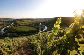 建筑用地 待售 于 威尔廷根, 德国