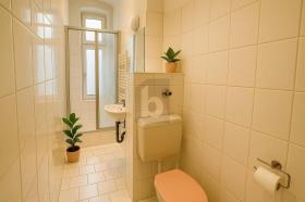 扁平 柏林诺 德国