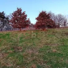 building ground  for sale in Kinderbeuern-Bernkastel-Wittlich, Germany