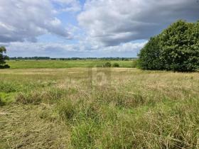 Doppelhaushälfte Plaaz zu kaufen Deutschland